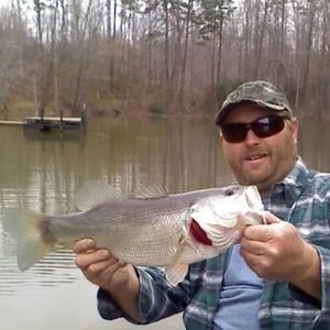 Meet your Posher, Mark